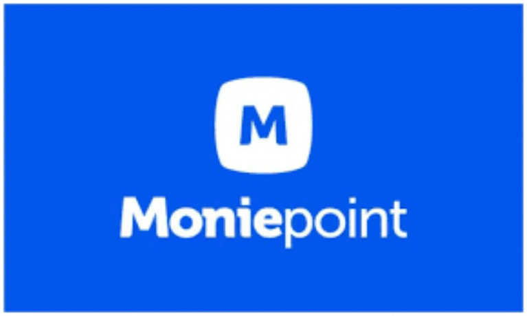 Moniepoint Log in Failed? Fix It in 2 Minutes