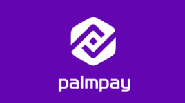 Palmpay review