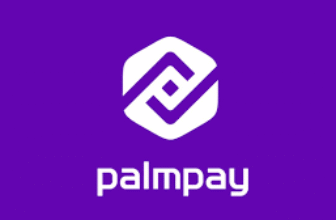 Palmpay review