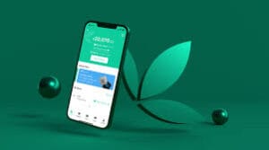 bamboo app review,