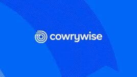 cowrywise review