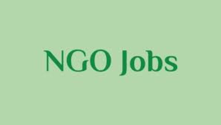 NGO Jobs in Abuja: Current Vacancies & Why Most Country Offices Are Here