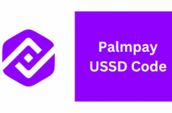 palmpay ussd code
