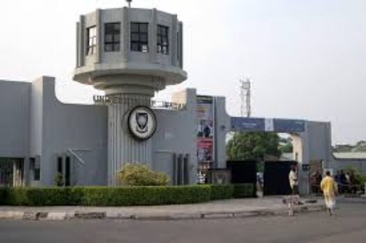 university of ibadan school fees,