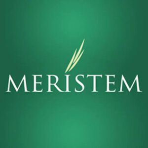 Meristem Securities