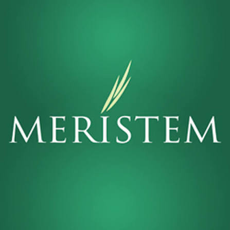 Meristem Securities