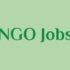 NGO Jobs in Maiduguri 2026: Who’s Hiring & How to Apply